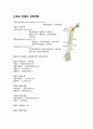 주관절 6페이지
