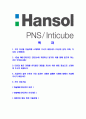 [한솔PNS인티큐브-최신공채합격자기소개서]한솔PNS자기소개서자소서,인티큐브자소서자기소개서,한솔PNS자소서,인티큐브합격자기소개서,합격자소서,한솔PNS인티큐브 2페이지