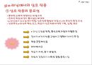 8장 컴퓨터와 공학(교육방법 및 공학).ppt 29페이지