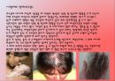 모발의 생장과 탈모에 미치는 영향.ppt 5페이지