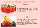 우리 몸에 필요한 영양소 4 - 비타민.ppt 8페이지