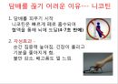 금연교육 4페이지
