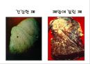 금연교육 16페이지