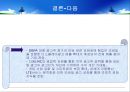 NHN  vs 다음 재무제표분석 20페이지