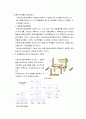 [생산관리론] 자재소요계획 (MRP) 개념, MRP시스템의 구조와 운영, MRP의 특징 5페이지