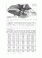 도시화 과정에서의 매춘문제 -19세기 파리의 도시화와 매춘을 중심으로-  8페이지