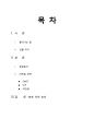국제마케팅 가상 해외진출 2페이지