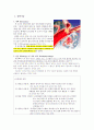 뇌경색 cerebral infarction 2페이지