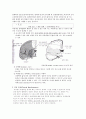뇌경색 cerebral infarction 4페이지