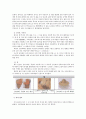 고구려의 관모와 그 영향관계 10페이지