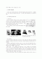 고구려의 관모와 그 영향관계 15페이지