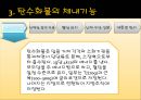 탄수화물(스포츠영양학).PPT자료 8페이지