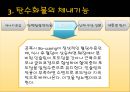탄수화물(스포츠영양학).PPT자료 10페이지
