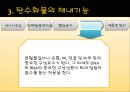 탄수화물(스포츠영양학).PPT자료 11페이지