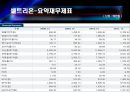 셀트리온vs3S 기업분석 8페이지