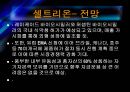 셀트리온vs3S 기업분석 35페이지