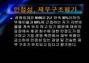 다음 NHN 기업분석 17페이지