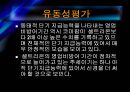 코미팜 vs 셀트리온 기업분석 31페이지
