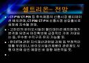 코미팜 vs 셀트리온 기업분석 35페이지