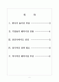 [한국브랜드] 한국의 국가브랜드 현황과 이미지 향상방안 보고서 2페이지