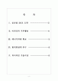 [SK기업분석]SK해외시장 진출전략 보고서 2페이지