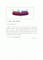 고령화사회에 대응한 노인복지 활성화 방안 51페이지