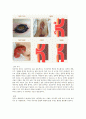 튜브간호 12페이지