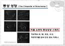 Roncham(롱샹 성당) 22페이지