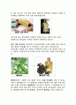 대국국제섬유박람회_방문_보고서 - 섬유산업 재도약 발판, 한국 기업 전시관, 한국섬유개발연구원, 기술연구소 5페이지