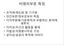 npo의 등장 배경 2페이지