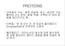 단백질 검정 및 변성 2페이지