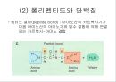 단백질 검정 및 변성 5페이지