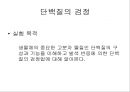 단백질 검정 및 변성 11페이지