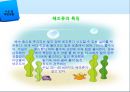 [해양생명공학개론] 해양생물 종 다양성 기술.PPT자료 17페이지
