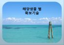 [해양생명공학개론] 해양생물 종 다양성 기술.PPT자료 24페이지