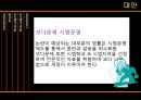 게임셧다운제,게임문화,게임산업및시장에미치는영향 16페이지