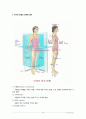 골격근과 부위별명칭,골격근,동작표현,해부학적자세와인체의면, 골격근이란, 동작표현의 용어정리 12페이지