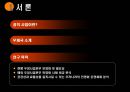 공기업의성공적인 민영화의요건,우정사업본부,우정사업,공기업론,공기업의민영화,민영화사례,공기업민영화사례 4페이지