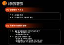 공기업의성공적인 민영화의요건,우정사업본부,우정사업,공기업론,공기업의민영화,민영화사례,공기업민영화사례 12페이지