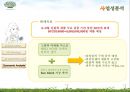 그린티 선 미스트 - 그린티선미스트,선미스트,미스트마케팅전략,미스트분석,이니스프리 선미스트.PPT자료 13페이지