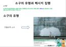글로벌광고마케팅,코카콜라,한국타이어,마케팅,브랜드,브랜드마케팅,기업,서비스마케팅,글로벌,경영,시장,사례,swot,stp,4p 9페이지