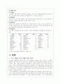 글로벌마케팅_푸드캡슐,미국시장진출,브랜드마케팅,서비스마케팅,글로벌경영,사례분석,swot,stp,4p 4페이지