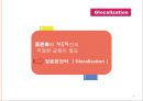 [글로벌마케팅믹스전략] 표준화 및 적응화 전략 (표준화전략,적응화전략,시장다변화전략사례,마케팅믹스표준화사례).ppt 8페이지