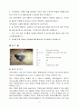 식품과영양이야기(레포트) 5페이지