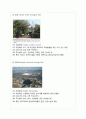 에너지와 환경 레포트 15페이지