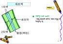 세포의 구조와 기능.PPT자료 13페이지