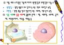 세포의 구조와 기능.PPT자료 16페이지