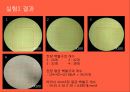 생리학실습[2주차] WBC Count.PPT자료 6페이지