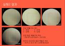 생리학실습[2주차] WBC Count.PPT자료 7페이지