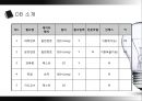 DB(데이터베이스) 구축 사업 계획서.PPT자료 12페이지